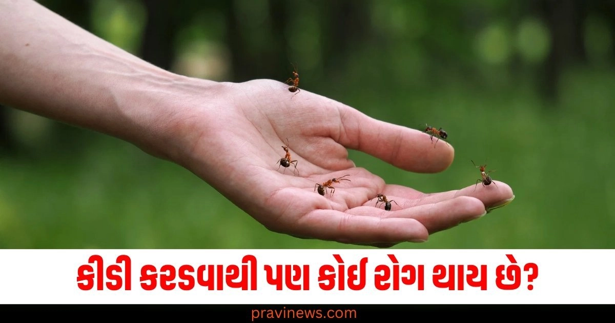 કીડી કરડવાથી પણ કોઈ રોગ થાય છે? જો તમને આ સંકેત દેખાય તો બચાવ કરો https://www.pravinews.com/religion/astrology/when-is-the-god-diwali-doing-these-remedies-on-that-day-will-get-rid-of-money-problems-55897