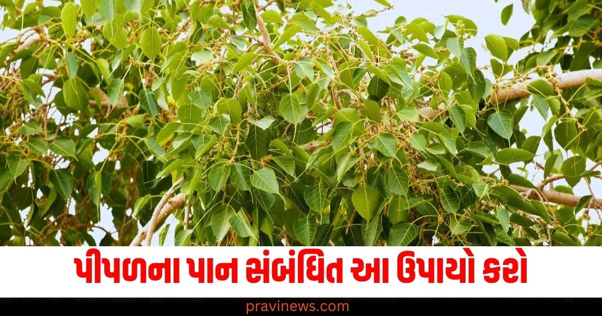 પીપળના પાન (Peepal leaves), ઉપાય (Remedies), શત્રુઓ (Enemies), મુક્તિ (Relief/Freedom),