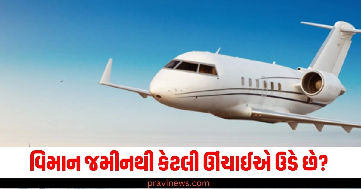 વિમાન જમીનથી કેટલી ઊંચાઈએ ઉડે છે? જાણો તેનો જવાબ https://www.pravinews.com/tag/%e0%aa%b5%e0%aa%bf%e0%aa%ae%e0%aa%be%e0%aa%a8