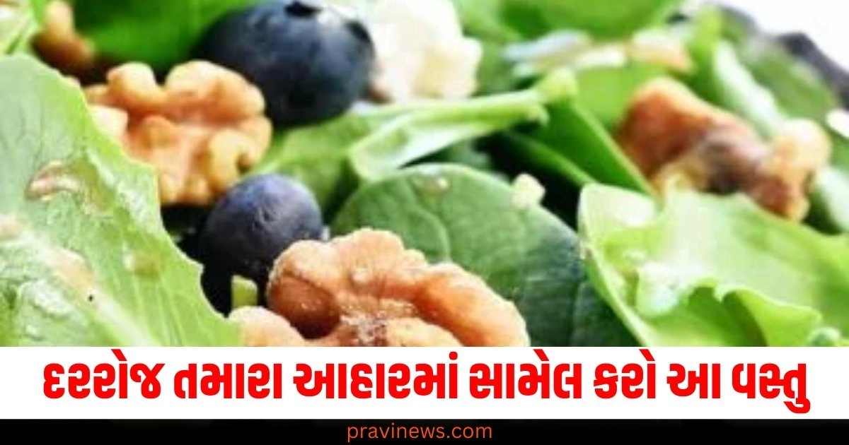 દરરોજ (Every day), આહાર (Diet), સામેલ (Include), વસ્તુ (Item), યાદશક્તિ (Memory), મજબૂત (Strong),