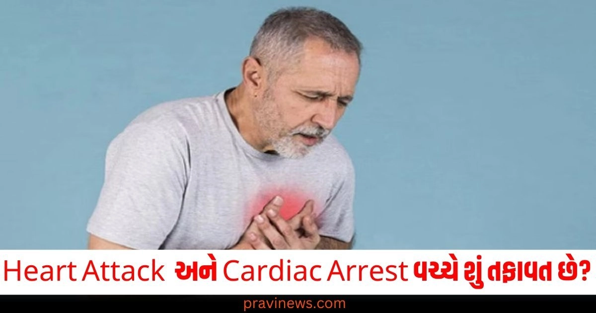 Heart Attack અને Cardiac Arrest વચ્ચે શું તફાવત? કયો હૃદય રોગ વધુ ખતરનાક https://www.pravinews.com/lifestyle/health-fitness/liver-cancer-know-how-dangerous-liver-cancer-is-what-are-its-symptoms-4995