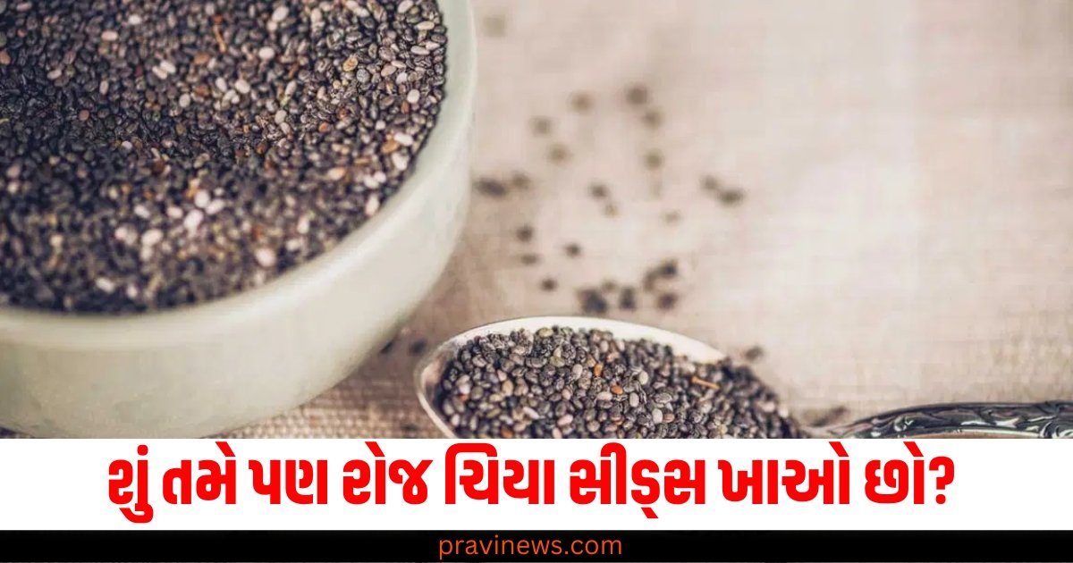 શું તમે પણ રોજ ચિયા સીડ્સ ખાઓ છો? તો જાણો તેના ગેરફાયદા https://www.pravinews.com/business/adani-power-in-top-80-percentile-of-global-electric-utilities-in-sp-global-csa-score-61348