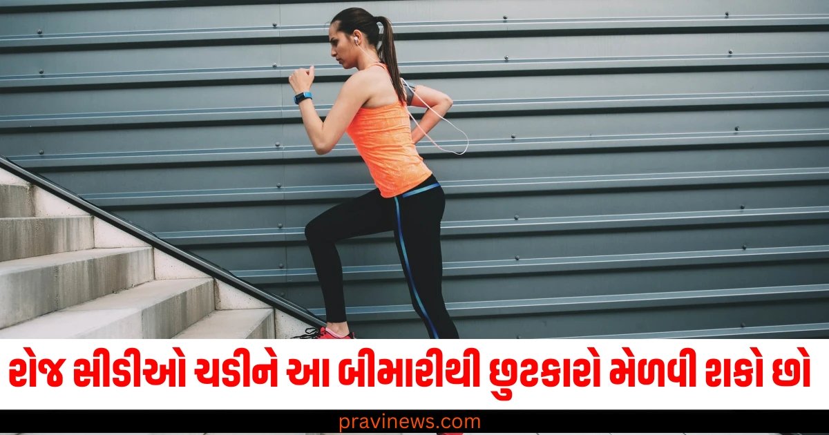 રોજ સીડીઓ ચડીને આ 5 બીમારીઓથી છુટકારો મેળવી શકો છો, બસ આ વાતોનું રાખો ધ્યાન https://www.pravinews.com/lifestyle/health-fitness/no-sugar-diet-amazing-benefits-sleep-better-healthy-digestion-system-59537