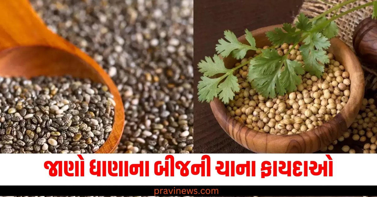 ધાણાના બીજની ચા સવારે ખાલી પેટ પીવાથી થશે અદ્ભુત ફાયદાઓ https://www.pravinews.com