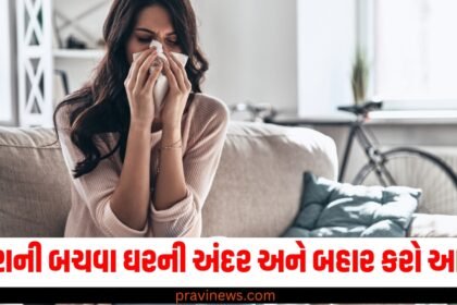 પ્રદૂષણની અસર થશે ઓછી, ઘરની અંદર અને બહાર કરો આ કામ https://www.pravinews.com/tag/%e0%aa%aa%e0%ab%8d%e0%aa%b0%e0%aa%a6%e0%ab%82%e0%aa%b7%e0%aa%a3