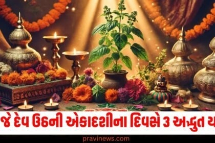 આજે દેવ ઉઠની એકાદશીના દિવસે 3 અદ્ભુત યોગ, હરિની ઉપાસનાથી દેવી લક્ષ્મી પ્રસન્ન થશે. https://www.pravinews.com/tag/%e0%aa%89%e0%aa%a0%e0%aa%a8%e0%ab%80