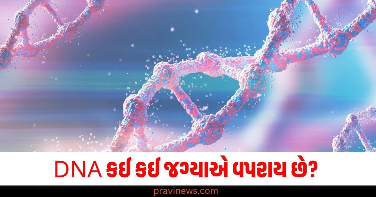 DNA (DNA), વપરાય છે (Used), જગ્યાઓ (Places), Know (Know), સંબંધીત (Related), મહત્વની બાબતો (Important matters),