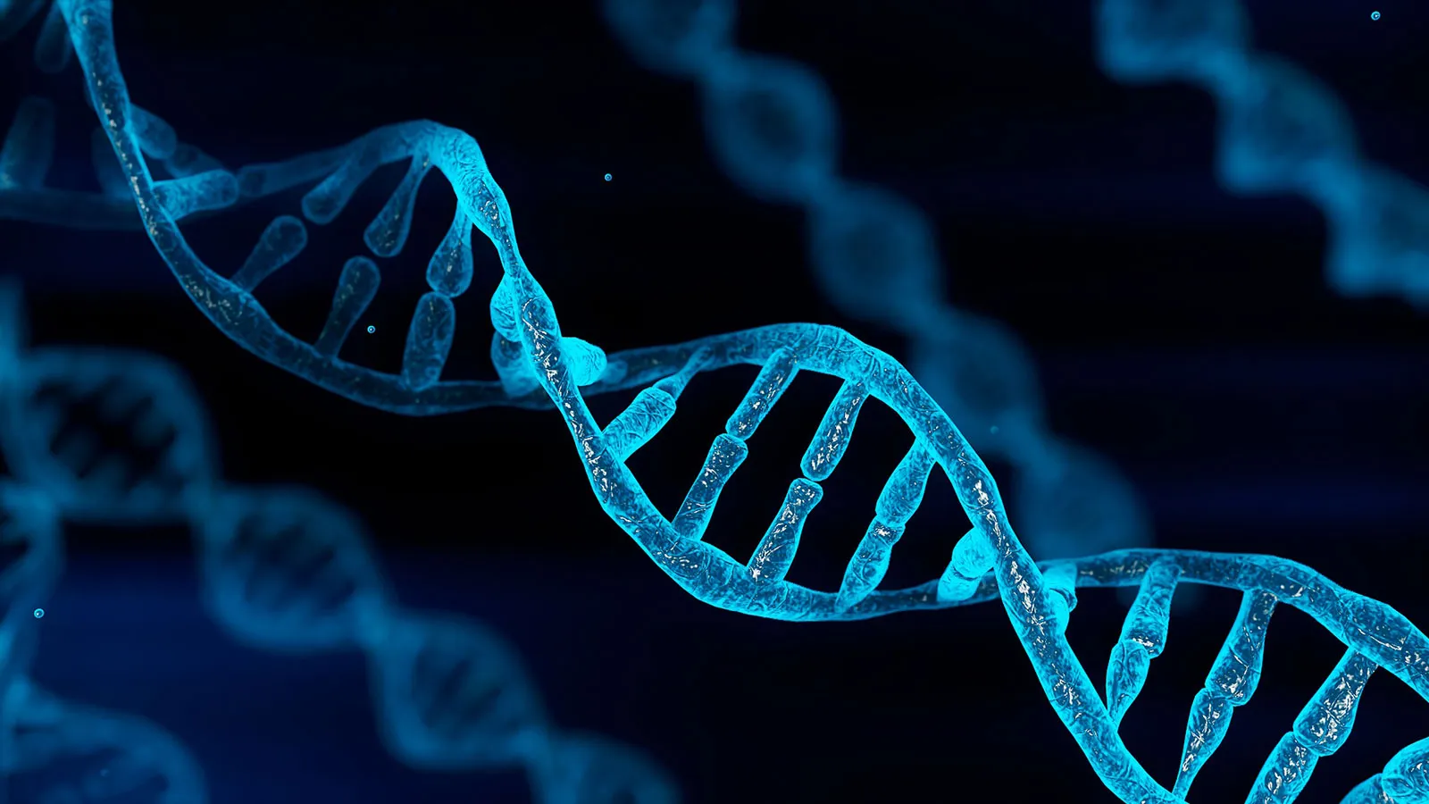 DNA કઈ કઈ જગ્યાએ વપરાય છે? જાણો તેને સંબંધિત મહત્વની બાબતો https://www.pravinews.com/lifestyle/dna-test-facts-importance-significance-need-medical-health-world-science-53176