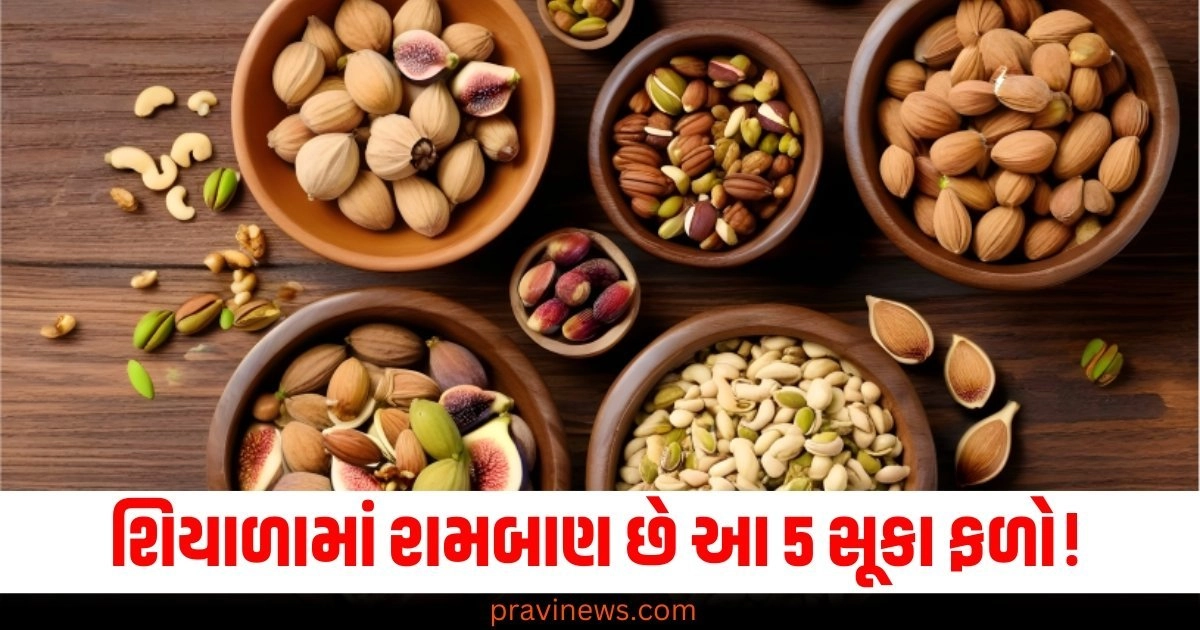 શિયાળામાં રામબાણ છે આ 5 સૂકા ફળો! હૂંફ આપવાથી માંડીને હૃદયની સંભાળ રાખસે https://www.pravinews.com