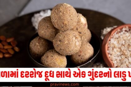 શિયાળામાં દરરોજ દૂધ સાથે એક ગુંદરનો લાડુ ખાઓ, તમારા સ્વાસ્થ્યમાં જોવા મળશે અદ્ભુત બદલાવ. https://www.pravinews.com/tag/%e0%aa%97%e0%ab%81%e0%aa%82%e0%aa%a6%e0%aa%b0