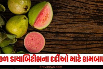 આ ફળ ડાયાબિટીસના દર્દીઓ માટે રામબાણ છે, તેને ખાવાથી મળે છે આ લાભો https://www.pravinews.com/tag/%e0%aa%a1%e0%aa%be%e0%aa%af%e0%aa%be%e0%aa%ac%e0%aa%bf%e0%aa%9f%e0%ab%80%e0%aa%b8