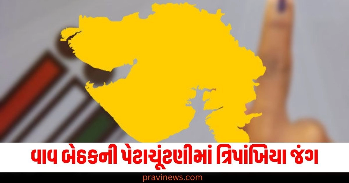 વાવ બેઠકની પેટાચૂંટણીમાં ત્રિપાંખિયા જંગ, ભાજપ-કોંગ્રેસે કર્યો જીતનો દાવો https://www.pravinews.com/gujarat-news/minor-girl-in-bhayli-area-vadodara-of-gujarat-amid-navratri-festival-alert-43949