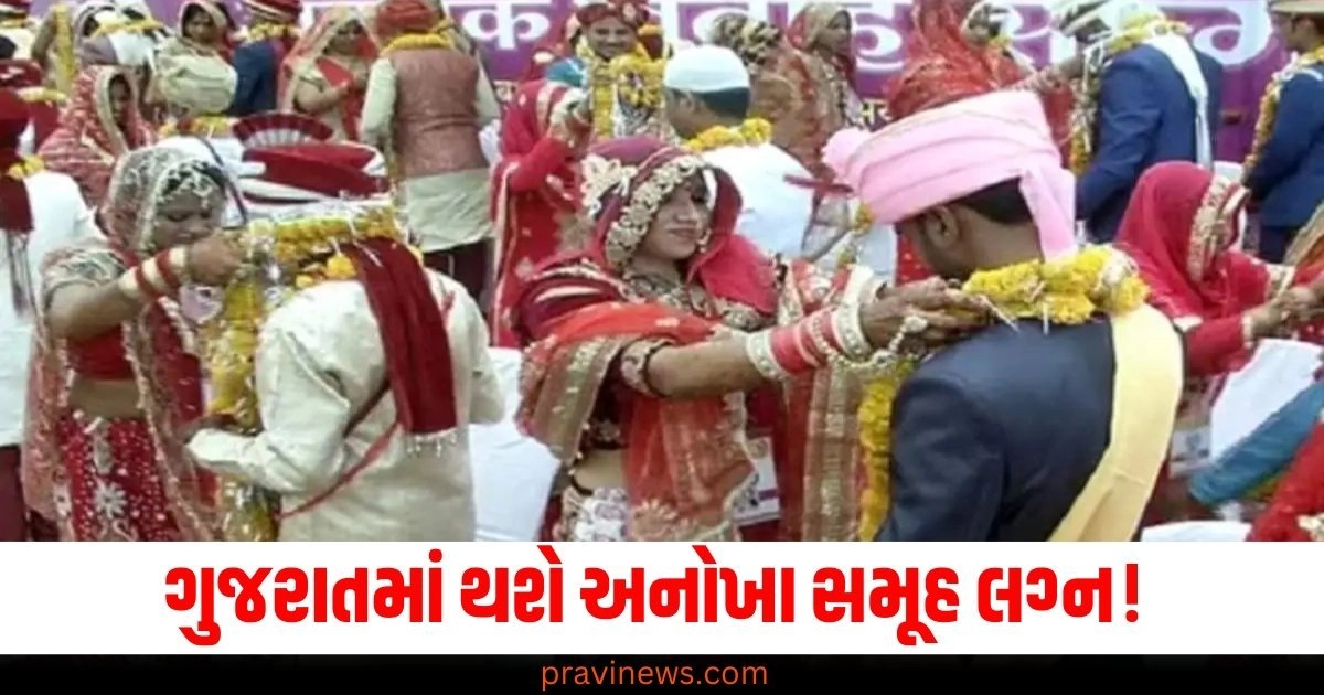 ગુજરાત (Gujarat), સમૂહ લગ્ન (Mass wedding), નવવિવાહિત યુગલો (Newlywed couples), 61 યુગલો (61 couples), વીમો (Insurance), કરોડ (Crores),