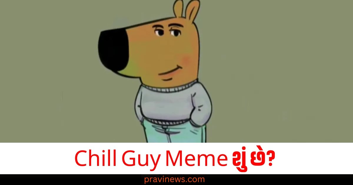 Chill Guy Meme શું છે? લોકોમાં કેમ ફેમસ થઈ રહી છે, જાણો સંપૂર્ણ વિગતો https://www.pravinews.com/international-news/india-strong-stance-on-the-arrest-of-chinmoy-krishna-das-in-bangladesh-mea-expressed-deep-concern-60409