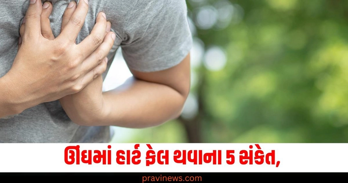 ઊંઘમાં હાર્ટ ફેલ થવાના 5 સંકેત, તેને અવગણવા બની શકે છે જીવલેણ https://www.pravinews.com/lifestyle/amazon-great-indian-festival-sale-flipkart-big-billion-days-sale-starts-with-this-date-mobile-laptop-offers-38307