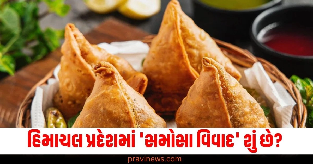 હિમાચલ પ્રદેશમાં 'સમોસા વિવાદ' શું છે? કરી રહી છે CID તપાસ https://www.pravinews.com/lifestyle/health-fitness/midnight-anxiety-sleeping-problems-brain-health-nind-ki-bimari-rat-ko-sote-samaye-kyu-chillane-lagte-hai-kuch-log-shuruwat-sanket-lakshan-54026