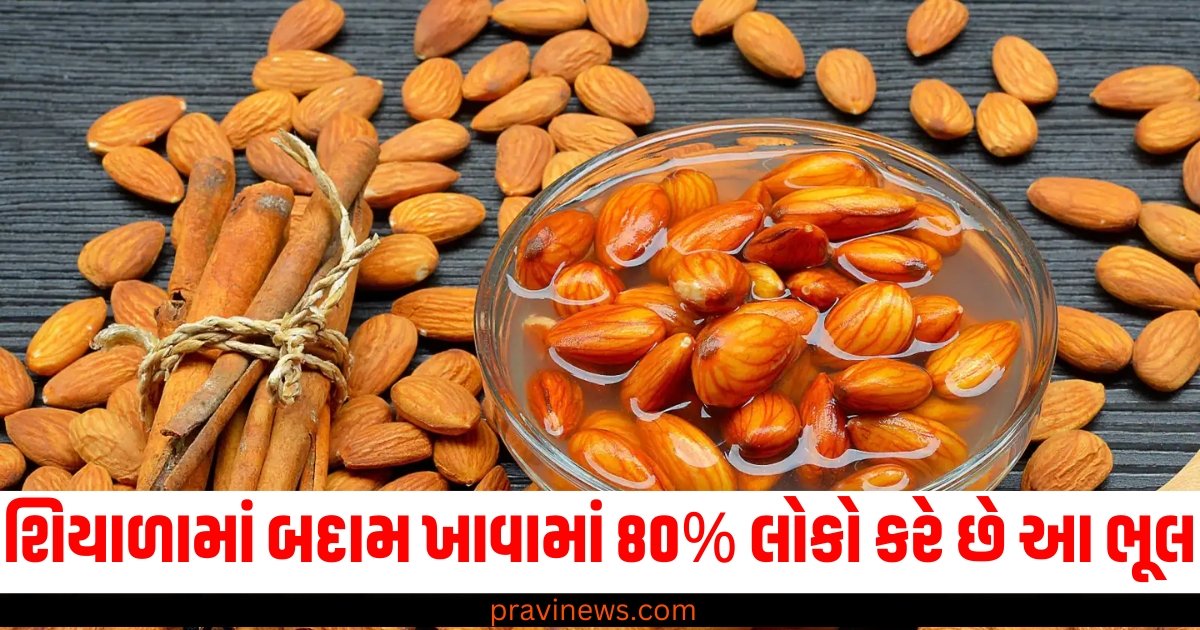 શિયાળામાં બદામ ખાવામાં 80% લોકો કરે છે આ ભૂલ, જાણો તેને ખાવાની સાચી રીત? https://www.pravinews.com