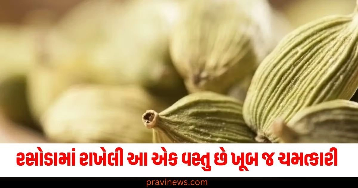 રસોડામાં રાખેલી આ એક વસ્તુ છે ખૂબ જ ચમત્કારી, સરળ ઉપાય ખોલશે તમારું ભાગ્ય https://www.pravinews.com/religion/astrology/chandra-grahan-2024-horoscope-september-rashifal-lunar-eclipse-in-india-and-impact-on-zodiac-signs-astrology-news-38555