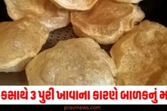 એકસાથે 3 પુરી ખાવાના કારણે બાળકનું મોત, ડોક્ટરો પણ આશ્ચ્ર્યચકિત https://www.pravinews.com/breaking-news/firozabad-shocking-theft-case-electricity-wires-stolen-from-poles-uttar-pradesh-63556