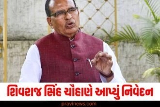 PM મોદીનું આગમન એટલે વિકાસના સૂરજનો ઉદય, શિવરાજ સિંહ ચૌહાણે આપ્યું નિવેદન https://www.pravinews.com/assembly-elections-jharkhand/jharkhand-assembly-election-2024-jmm-releases-first-list-of-35-candidates-know-who-got-ticket-from-where-50071