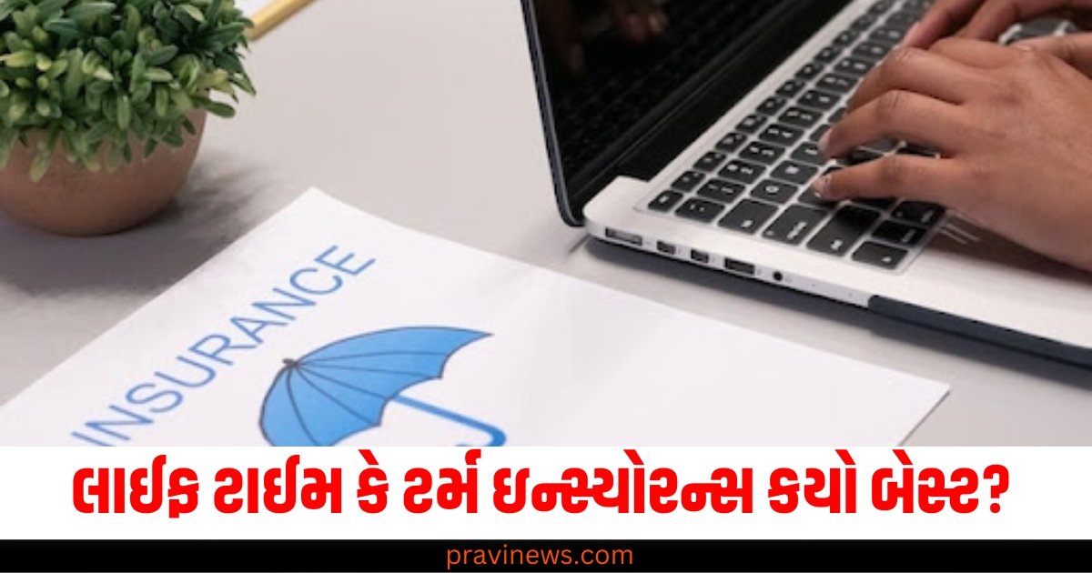 લાઈફ ટાઈમ કે ટર્મ ઇન્સ્યોરન્સ કયો બેસ્ટ? જો તમારે પૈસા બચાવવા હોય તો હવે જાણી લો https://www.pravinews.com/world-news-in-gujarati/8-things-are-free-at-petrol-pumps-car-and-bike-riders-must-check-this-61270