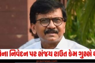 'પરિણામો પછી CM પર નિર્ણય', નાના પટોલેના નિવેદન પર સંજય રાઉત કેમ ગુસ્સે થયા? https://www.pravinews.com/assembly-elections-maharashtra/shiv-sena-shinde-released-first-list-for-maharashtra-ssembly-election-50086