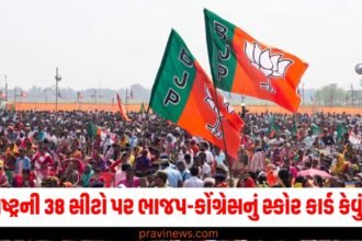 મહારાષ્ટ્રની 38 સીટો પર ભાજપ અને કોંગ્રેસનું સ્કોર કાર્ડ કેવું રહ્યું? જ્યાં 20 ટકાથી વધુ મુસ્લિમો છે? https://www.pravinews.com/assembly-elections-maharashtra/shiv-sena-shinde-released-first-list-for-maharashtra-ssembly-election-50086