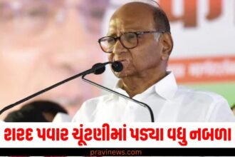 શરદ પવાર ચૂંટણીમાં પડ્યા વધુ નબળા, જાણો મહારાષ્ટ્રના 5 વિસ્તારોમાં શું હતી સ્થિતિ https://www.pravinews.com/assembly-elections-maharashtra/shiv-sena-shinde-released-first-list-for-maharashtra-ssembly-election-50086