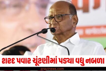 શરદ પવાર ચૂંટણીમાં પડ્યા વધુ નબળા, જાણો મહારાષ્ટ્રના 5 વિસ્તારોમાં શું હતી સ્થિતિ https://www.pravinews.com/assembly-elections-maharashtra