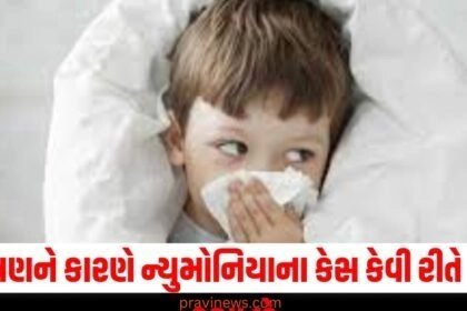 પ્રદૂષણને કારણે ન્યુમોનિયાના કેસ કેવી રીતે વધી રહ્યા છે? તેનાથી તમારી જાતને આ રીતે સુરક્ષિત કરો https://www.pravinews.com/tag/%e0%aa%aa%e0%ab%8d%e0%aa%b0%e0%aa%a6%e0%ab%82%e0%aa%b7%e0%aa%a3