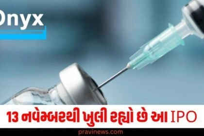 13 નવેમ્બરથી ખુલી રહ્યો છે આ IPO, પ્રાઇસ બેન્ડ છે ₹61 https://www.pravinews.com/business/stock-market/ipo