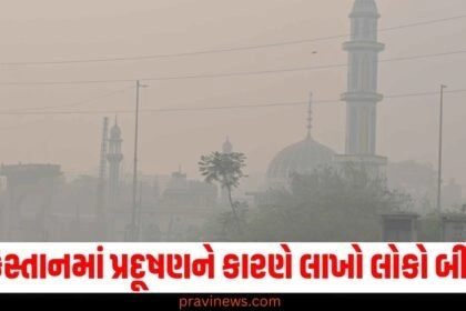 પાકિસ્તાન (Pakistan), પ્રદૂષણ (Pollution), લાખો લોકો (Millions of People), બીમાર (Sick), લાહોર (Lahore), 12 લાખ (1.2 Million), હોસ્પિટલ (Hospital),