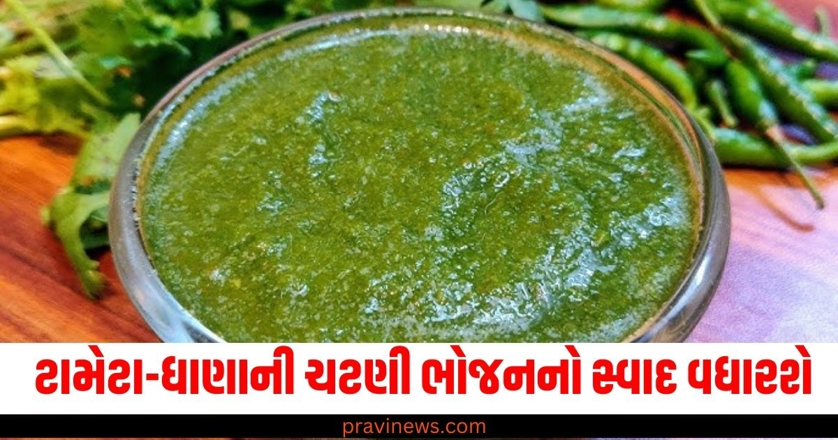 મસાલેદાર ટામેટા-ધાણાની ચટણી કંટાળાજનક ભોજનનો સ્વાદ વધારશે, બનાવવાની રીત છે સરળ https://www.pravinews.com/food/methi-saag-how-to-make-methi-saag-benefits-fenugreek-leaves-benefits-55376