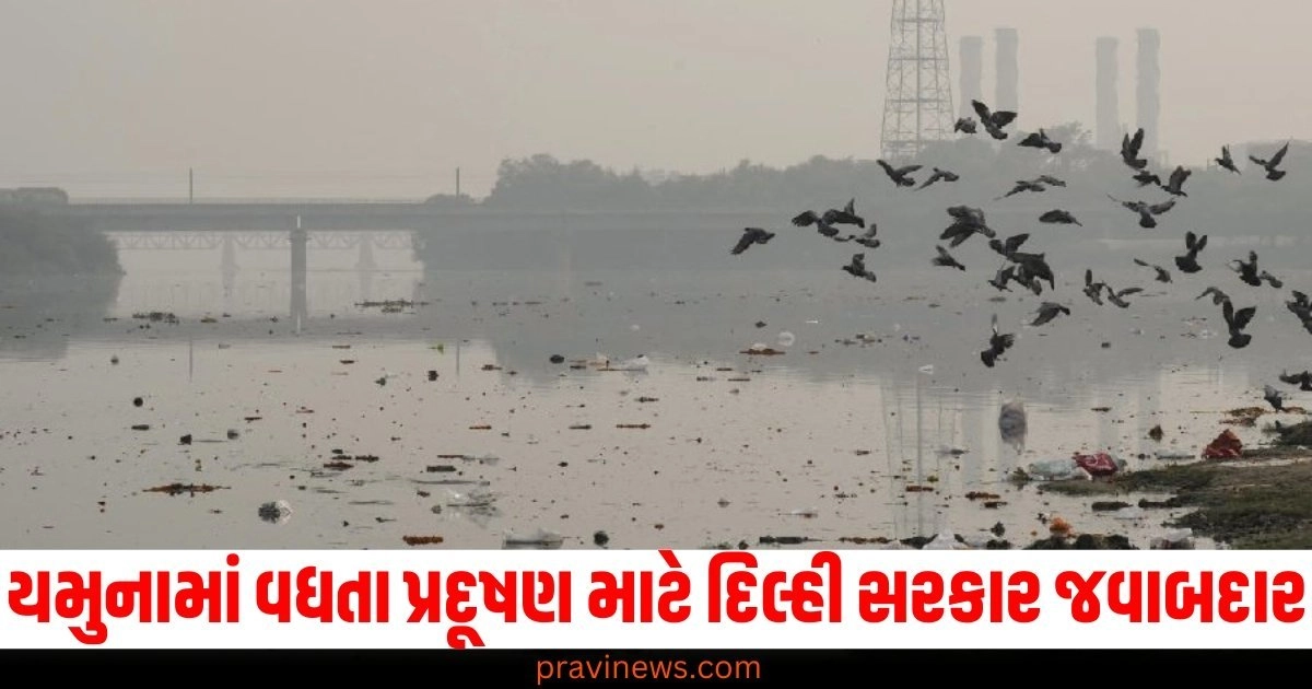 યમુનામાં (In Yamuna), વધતા પ્રદૂષણ (Increasing pollution), વાયુ પ્રદૂષણ (Air pollution), દિલ્લી સરકાર (Delhi government), જવાબદાર (Responsible), સંદીપ દીક્ષિત (Sandeep Dikshit),