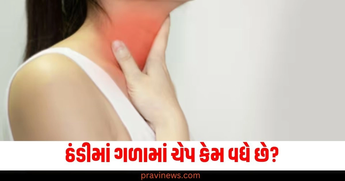 Cold and Throat Infection, Winter Throat Care Tips, Throat Infection Remedies, Prevent Throat Issues in Cold,