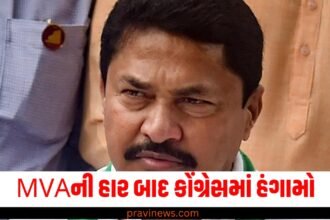 MVAની હાર બાદ કોંગ્રેસમાં હંગામો, વડેટ્ટીવારે કહ્યું- મને પટોલેના રાજીનામાની જાણ નથી. https://www.pravinews.com/assembly-elections-maharashtra/shiv-sena-shinde-released-first-list-for-maharashtra-ssembly-election-50086