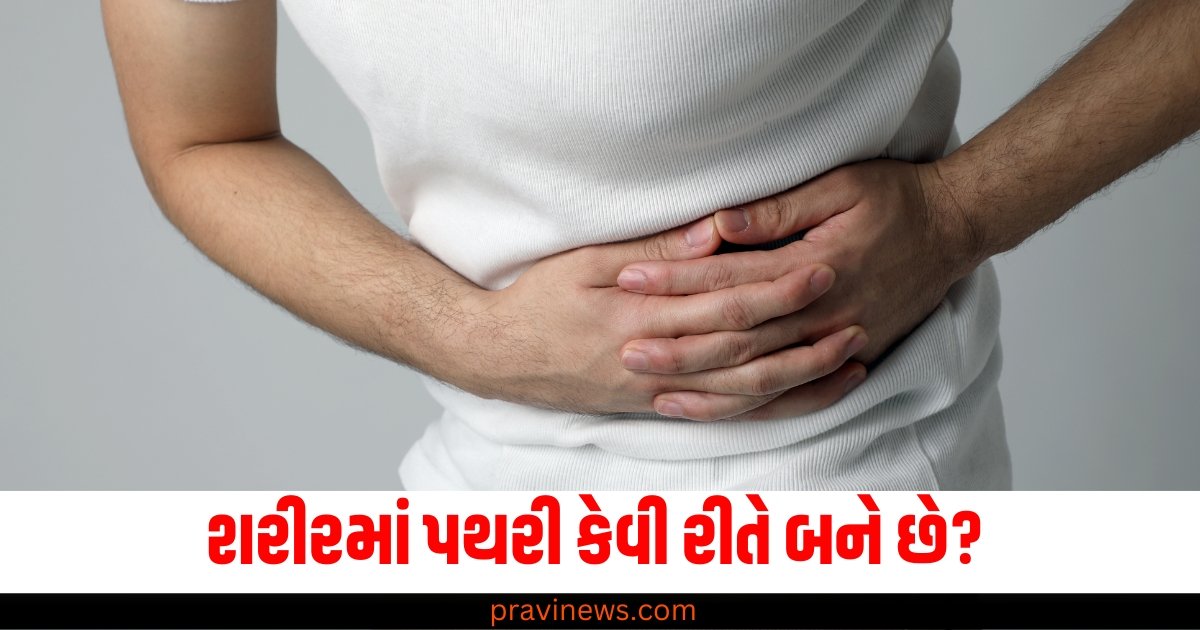 શરીરમાં પથરી કેવી રીતે બને છે? જાણો પ્રારંભિક સંકેતો અને નિવારણની પદ્ધતિઓ https://www.pravinews.com/lifestyle/health-fitness/medical-test-age-wise-diabetes-vitamin-b-12-cholesterol-cancer-disease-prevention-tips-61251