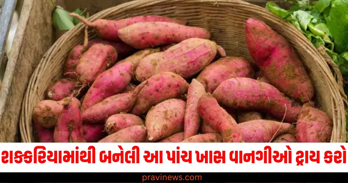 શિયાળામાં ખાવાની મજા બમણી કરવી હોય તો શક્કરિયામાંથી બનેલી આ પાંચ ખાસ વાનગીઓ ટ્રાય કરો. https://www.pravinews.com/technology/smartphone-speed-slowing-down-this-whatsapp-feature-might-be-enemy-tips-and-tricks-60972