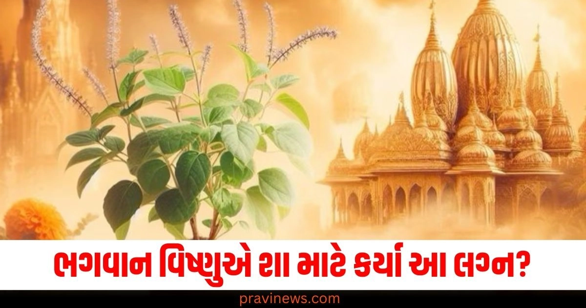 Tulsi Vivah Significance, Lord Vishnu and Tulsi Vivah, Tulsi Vivah Rituals, Importance of Tulsi Vivah,