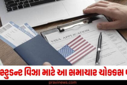 જો તમારે US સ્ટુડન્ટ વિઝા જોઈએ છે તો આ સમાચાર ચોક્કસ વાંચો, જાણો તેના માટે ક્યાં ડોક્યુમેન્ટ્સ જરૂરી છે? https://www.pravinews.com/education/admissions