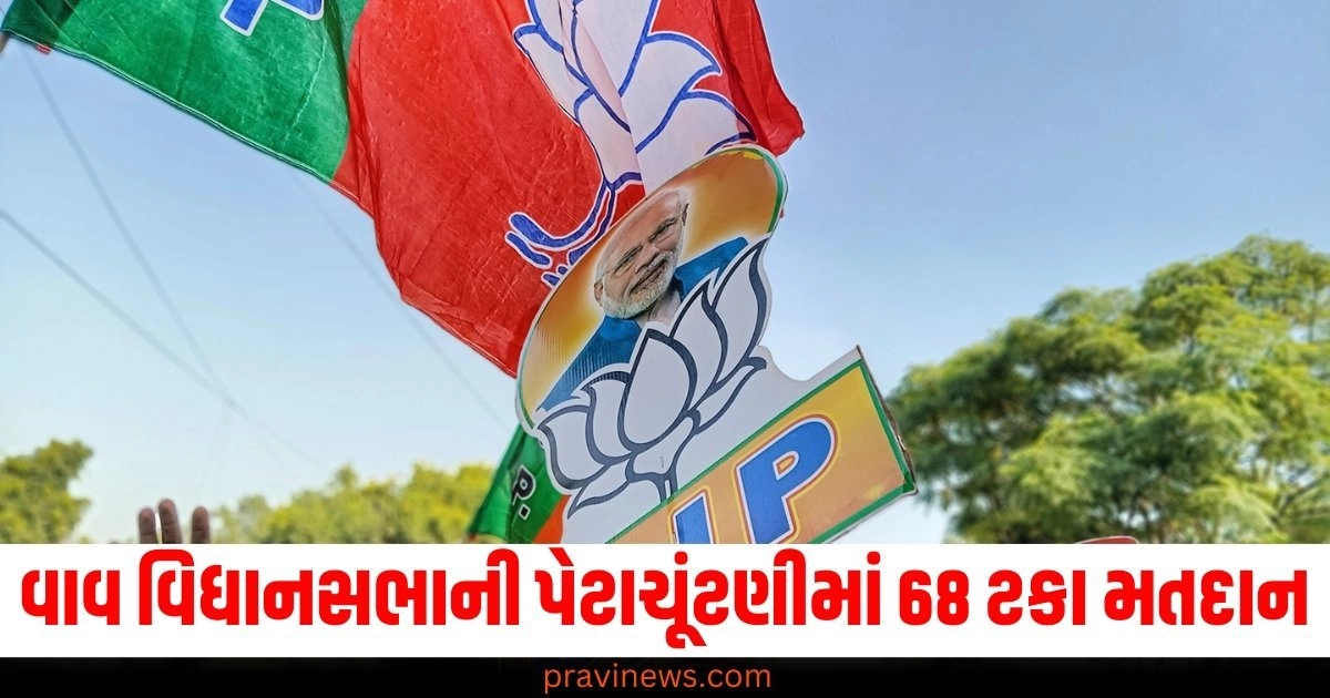 Gujarat, Vav By-election, Voter Turnout, Election Results,