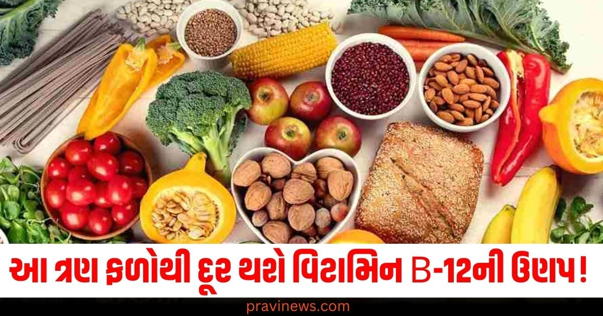 આ ત્રણ ફળોથી દૂર થશે વિટામિન B-12ની ઉણપ! જાણો તેના ફાયદા https://www.pravinews.com/gujarat-news/gujarat-doctor-who-did-fake-angioplasty-in-greed-of-ayushman-scheme-arrested-know-details-ntc-rptc-56009