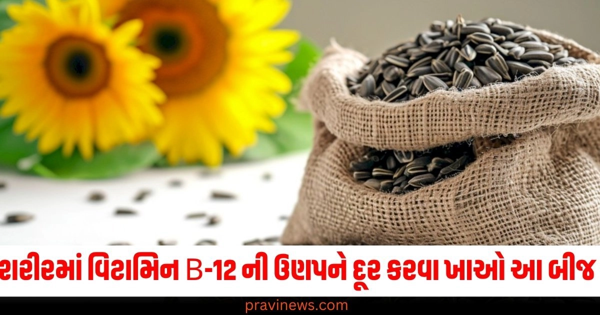 શરીરમાં વિટામિન B-12 ની ઉણપને દૂર કરવા ખાઓ આ બીજ, તમને થશે અનેક ફાયદા! https://www.pravinews.com/lifestyle/health-fitness