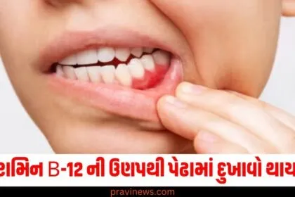 વિટામિન B-12 ની ઉણપથી પેઢામાં દુખાવો થાય છે, આ સંકેતોને ક્યારેય અવગણશો નહીં! https://www.pravinews.com/author/pravinews