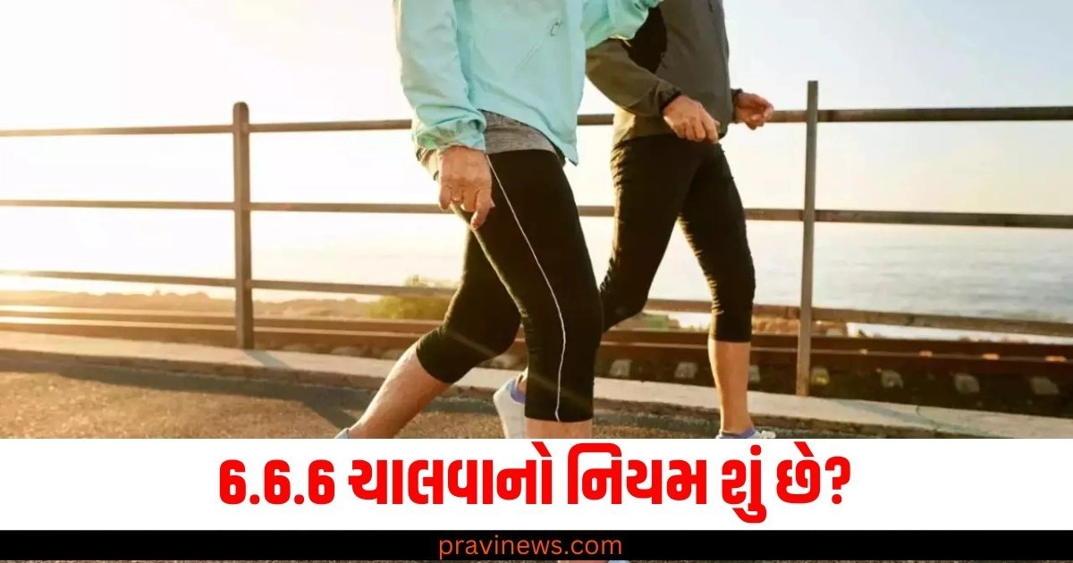 6.6.6 ચાલવાનો નિયમ શું છે? 21 દિવસ ફોલો કરવાના 6 મોટા ફાયદા https://www.pravinews.com/lifestyle/health-fitness/air-pollution-delhi-aqi-400-heart-attack-pm-2-5-to-10-harmful-side-effects-57893