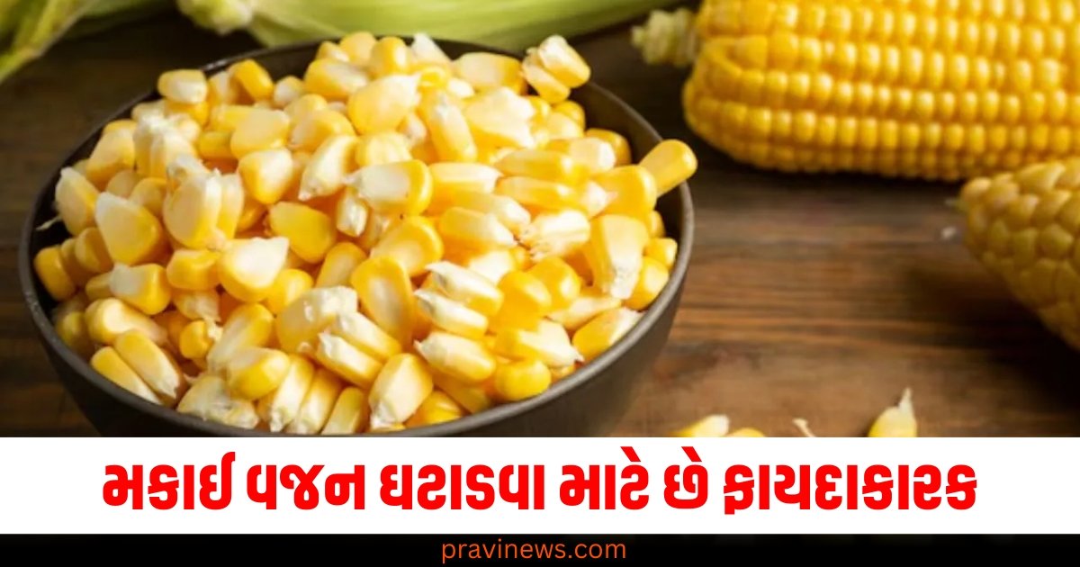 મકાઈ વજન ઘટાડવા માટે છે ફાયદાકારક, આ રીતે કરો તેનું સેવન https://www.pravinews.com/lifestyle/weight-loss-diet-glutenfree-corn-superfoods-healthy-digestion-system-health-tips-60511