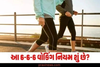 આ 6-6-6 વોકિંગ નિયમ શું છે? તે તમારા વ્યસ્ત શેડ્યૂલમાં પણ ફિટ થઈ જશે https://www.pravinews.com/tag/%e0%aa%b5%e0%ab%8b%e0%aa%95%e0%aa%bf%e0%aa%82%e0%aa%97