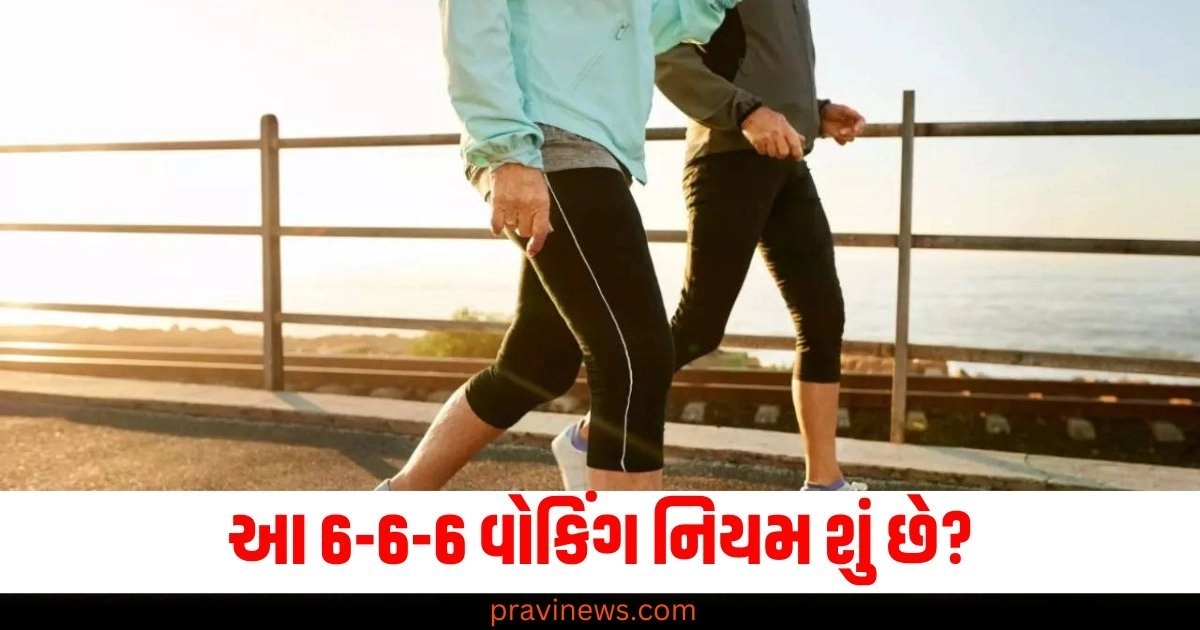 આ 6-6-6 વોકિંગ નિયમ શું છે? તે તમારા વ્યસ્ત શેડ્યૂલમાં પણ ફિટ થઈ જશે https://www.pravinews.com/lifestyle/health-fitness/liver-cancer-know-how-dangerous-liver-cancer-is-what-are-its-symptoms-4995