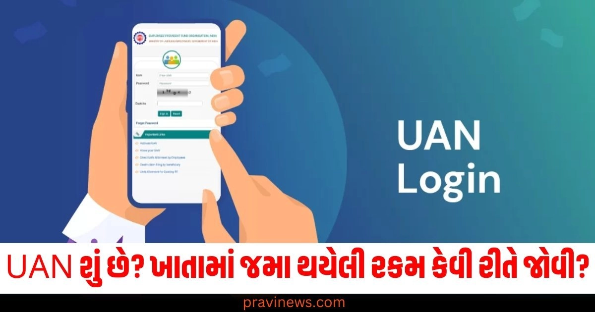 UAN શું છે? ખાતામાં જમા થયેલી રકમ કેવી રીતે જોવી, સમજો સંપૂર્ણ પ્રક્રિયા https://www.pravinews.com/lifestyle/health-fitness/midnight-anxiety-sleeping-problems-brain-health-nind-ki-bimari-rat-ko-sote-samaye-kyu-chillane-lagte-hai-kuch-log-shuruwat-sanket-lakshan-54026