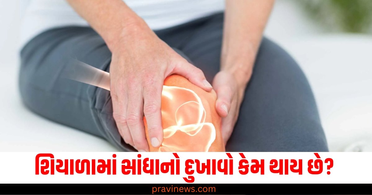 શિયાળામાં સાંધાનો દુખાવો કેમ થાય છે? ડૉક્ટરની આ ટિપ્સથી તમને રાહત મળશે https://www.pravinews.com/lifestyle/health-fitness/milk-benefits-healthy-drink-fat-calcium-protein-body-bones-hairs-one-glass-nutrition-60893